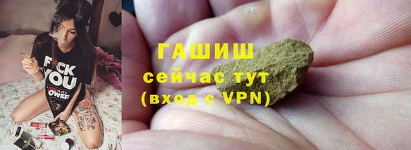 молекула духа Богородицк