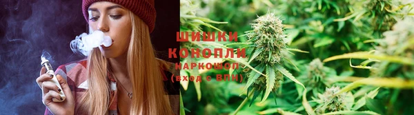 молекула духа Богородицк