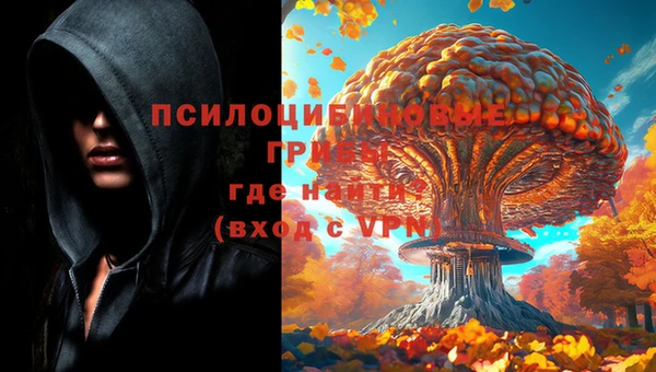 каннабис Богданович