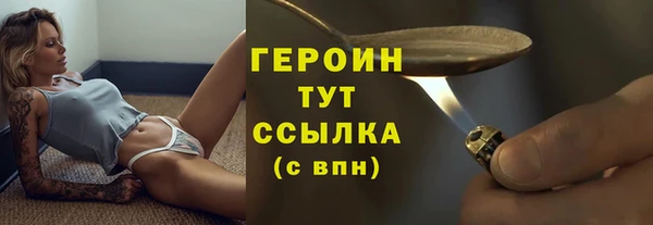 молекула духа Богородицк