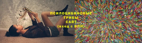каннабис Богданович