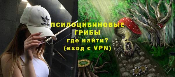 молекула духа Богородицк