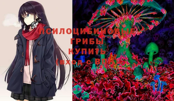 mdma Богородск
