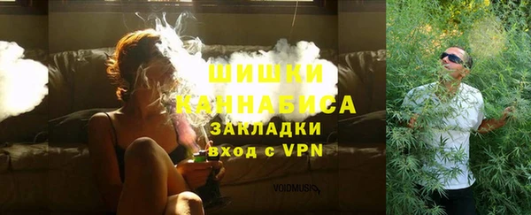молекула духа Богородицк