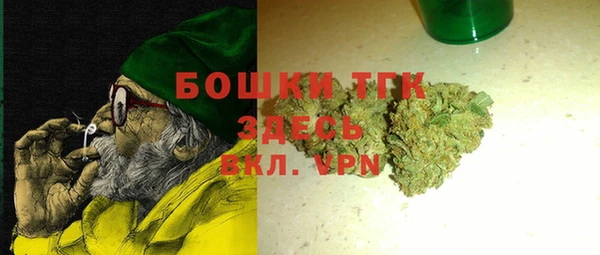 молекула духа Богородицк