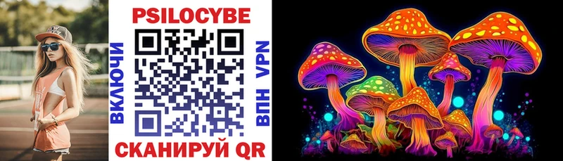 Купить закладки  Озёрск  Псилоцибиновые грибы Cubensis 